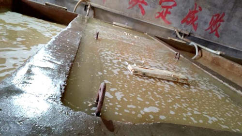 山药“易容术”：消毒剂漂白变白嫩