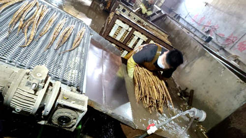 山药“易容术”：消毒剂漂白变白嫩