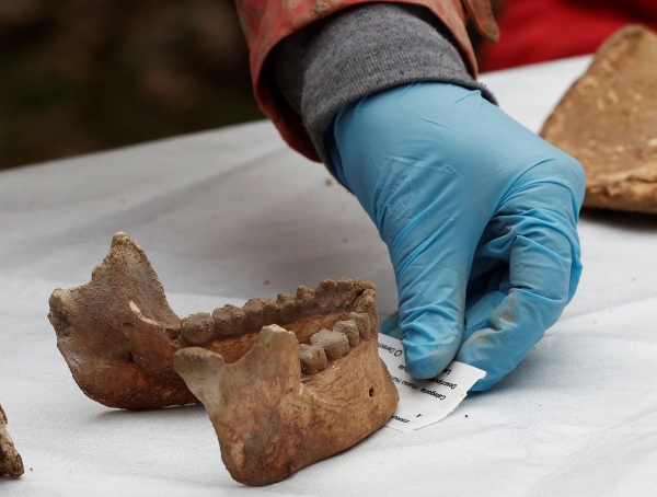 西班牙北部发现史前人类骨骼：距今已有11700多年