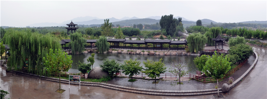 赴樱花山“樱花之约”：赏樱归来不看樱