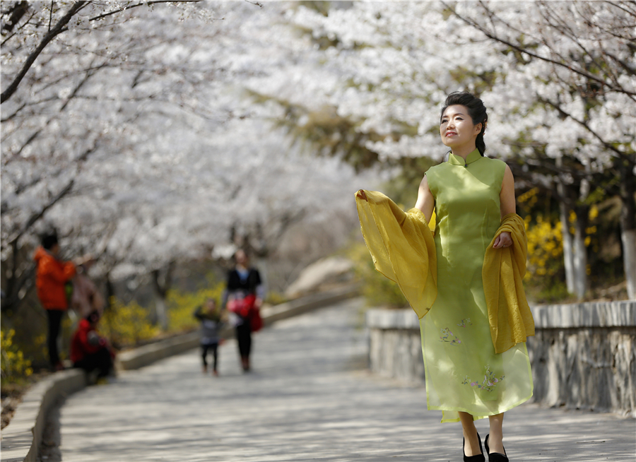 赴樱花山“樱花之约”：赏樱归来不看樱