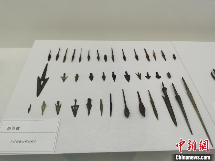 广西首家骆越铜兵器艺术馆亮相南宁