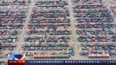 奋斗百年路 启航新征程丨加入世贸组织二十年 中国与世界深度融合