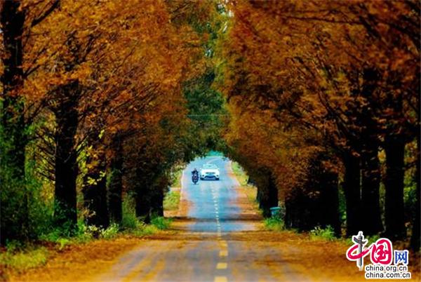 2021年，黄山市要过一个“自驾年”（组图）