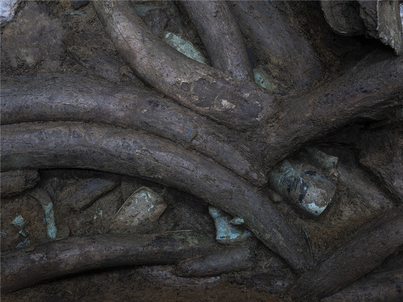 三星堆遗址考古新发现实证中华文明多元一体