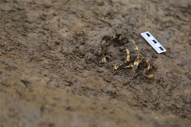 三星堆遗址考古新发现实证中华文明多元一体