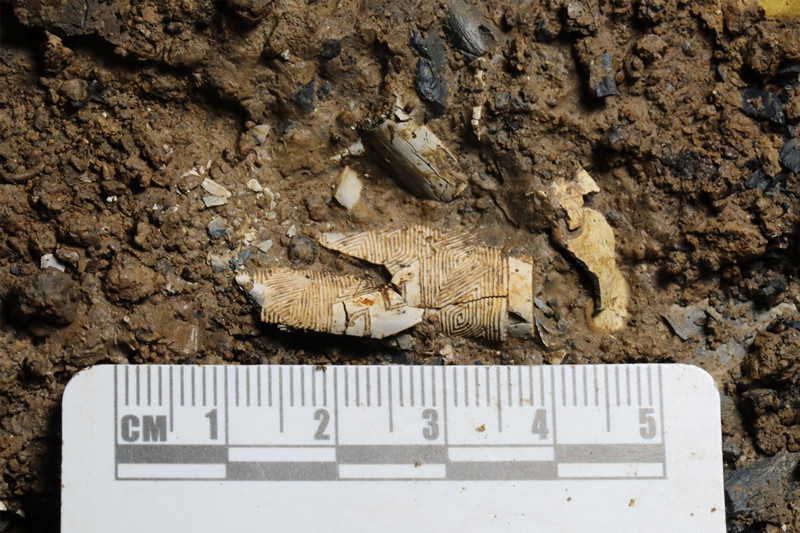 三星堆遗址考古新发现实证中华文明多元一体