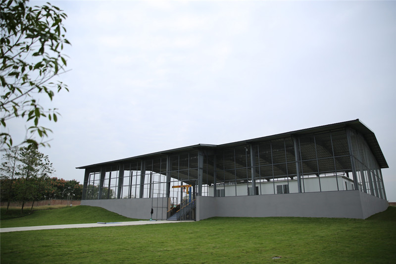 三星堆遗址考古新发现实证中华文明多元一体