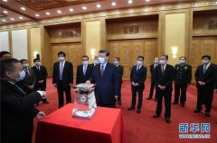 思力网评：坚定不移走自主创新道路