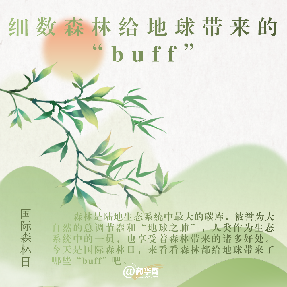 国际森林日丨细数森林给地球带来的“buff”