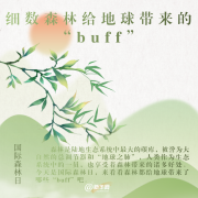 国际森林日丨细数森林给地球带来的“buff”