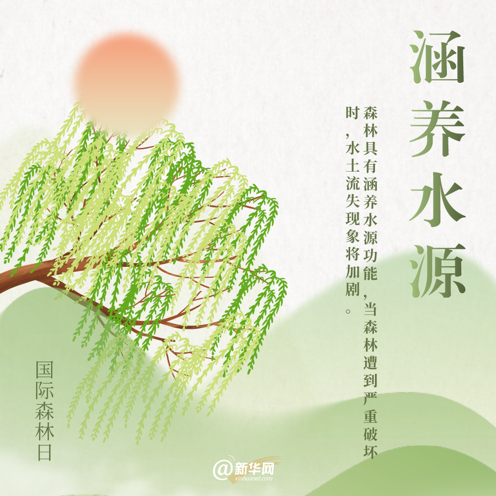 国际森林日丨细数森林给地球带来的“buff”