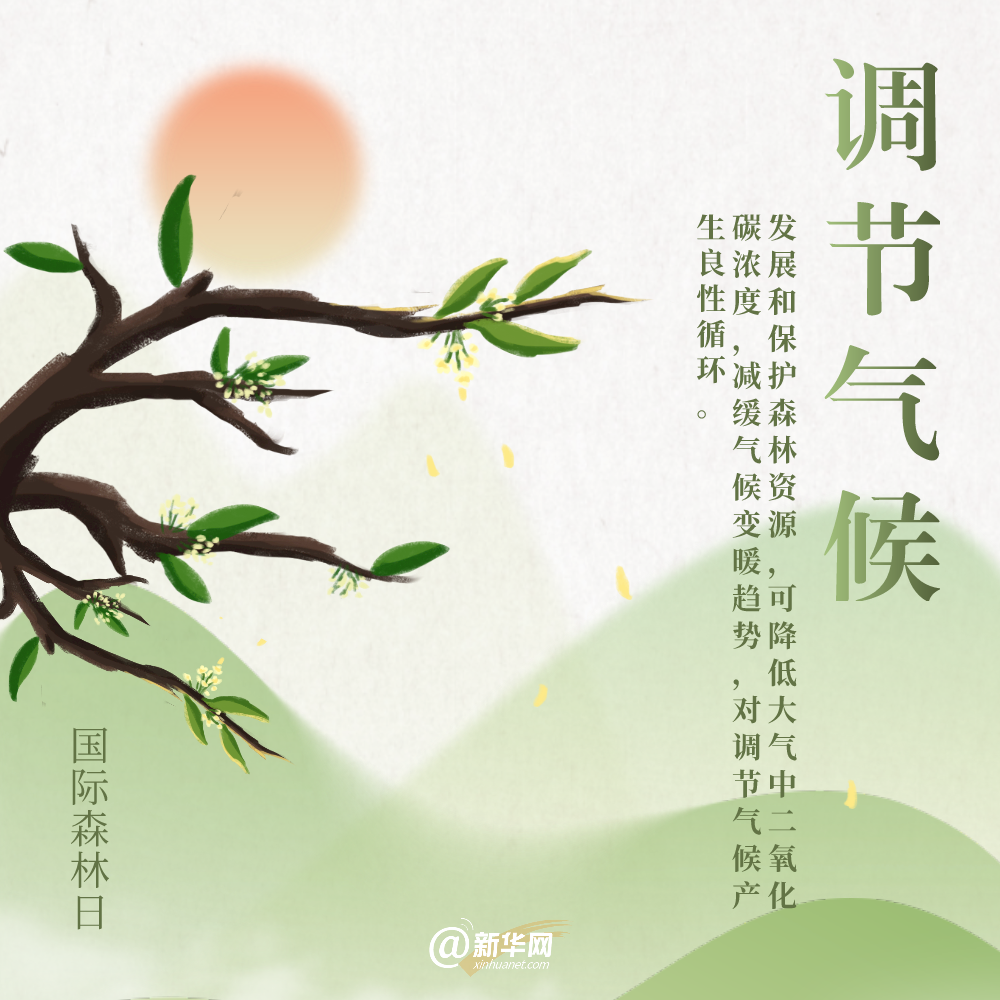 国际森林日丨细数森林给地球带来的“buff”