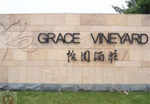 2020年报｜怡园酒业：全年微亏，大举进入烈酒领域