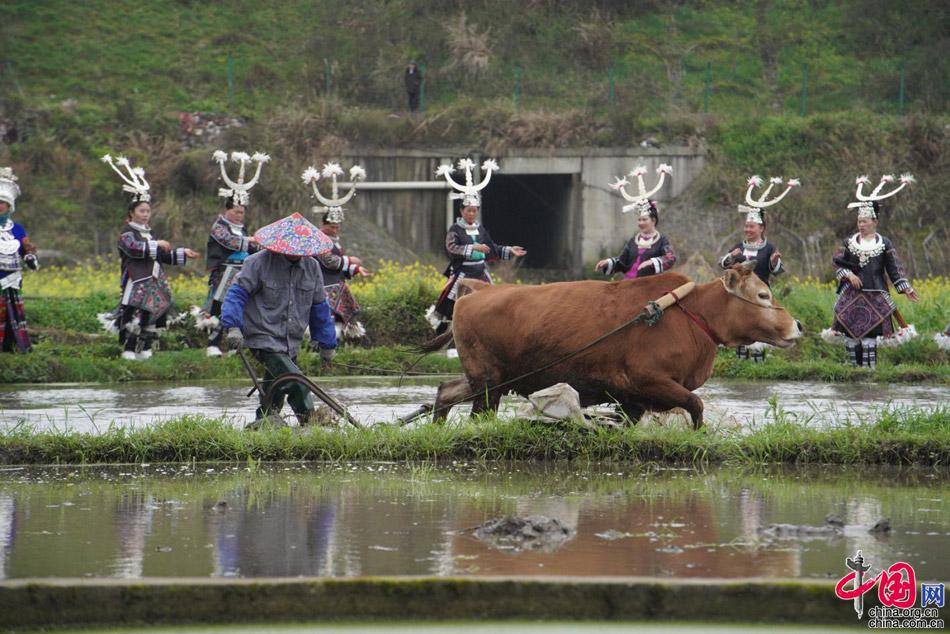 贵州丹寨县：深挖农文旅融合促乡村振兴发展