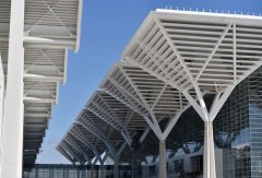 瓣瓣不同 瓣瓣同心——京津冀协同发展不断取得新突破