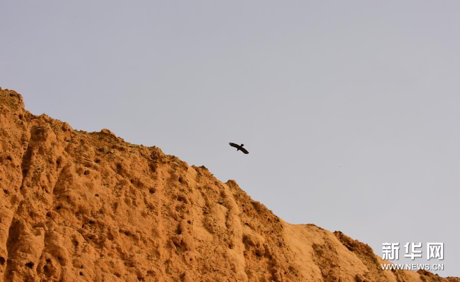 悠悠古刹苏巴什