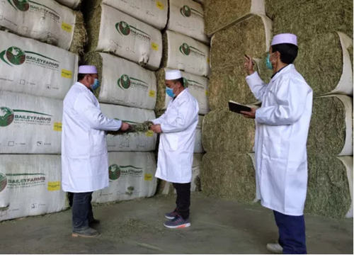 蒙牛2020年报：史上最大规模食品捐赠 彰显蒙牛最强执行力