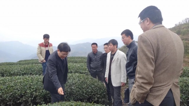 科技助力乡村振兴再出发丨科技让“八闽大地”生长出看得见的力量