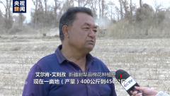 白棉花为何上了“黑名单”？