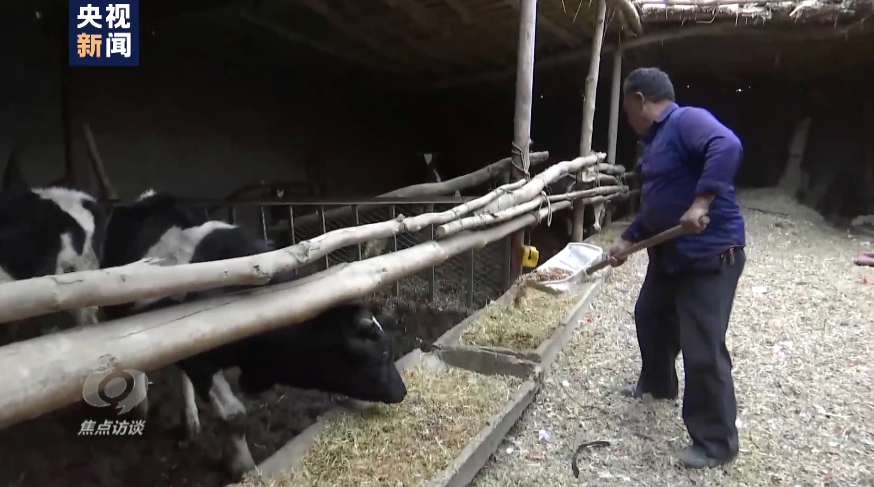 白棉花为何上了“黑名单”？