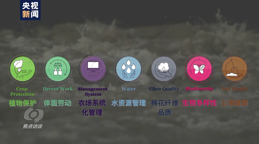 白棉花为何上了“黑名单”？