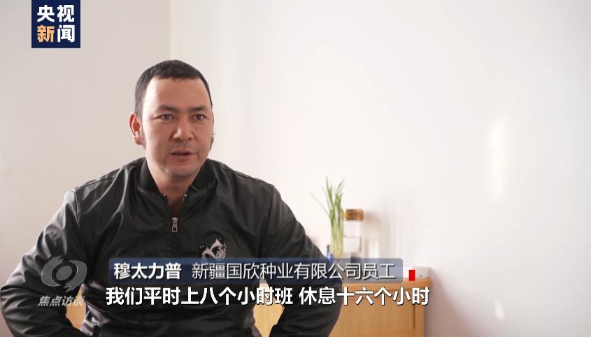 白棉花为何上了“黑名单”？