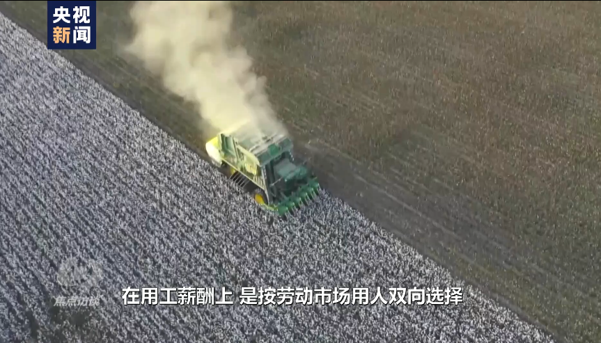 白棉花为何上了“黑名单”？