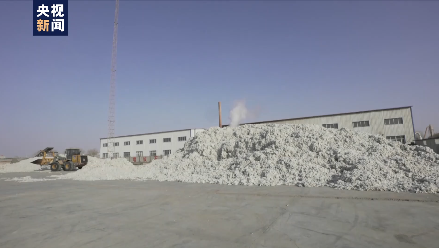 白棉花为何上了“黑名单”？