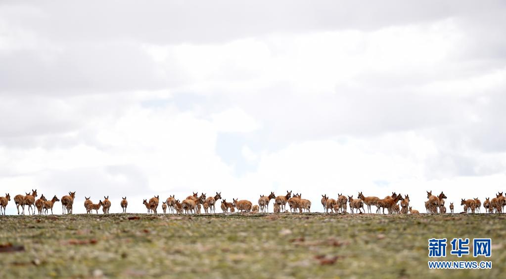 从制度的新生到发展的跨越——写在西藏百万农奴解放62周年之际