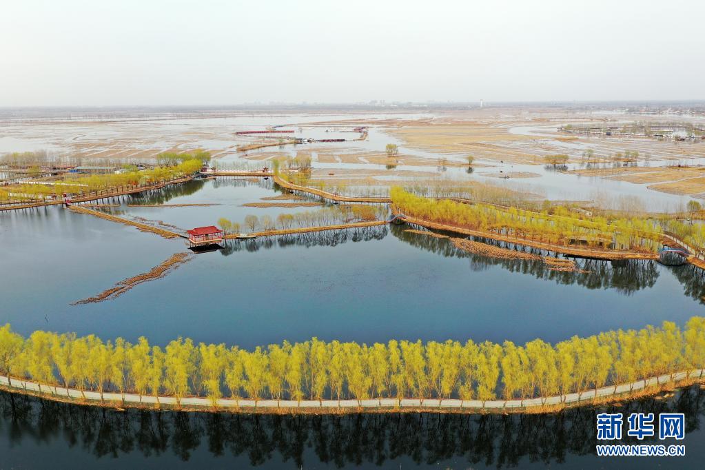 按下“快进键”，“未来之城”日新月异