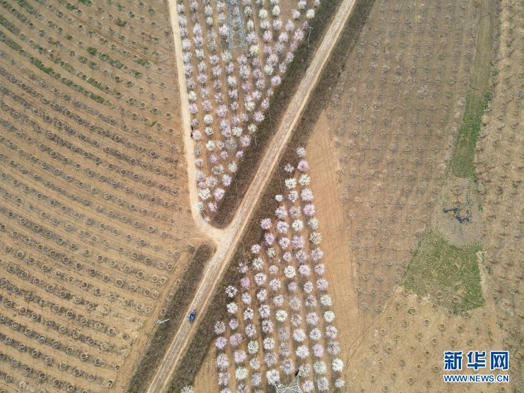 按下“快进键”，“未来之城”日新月异