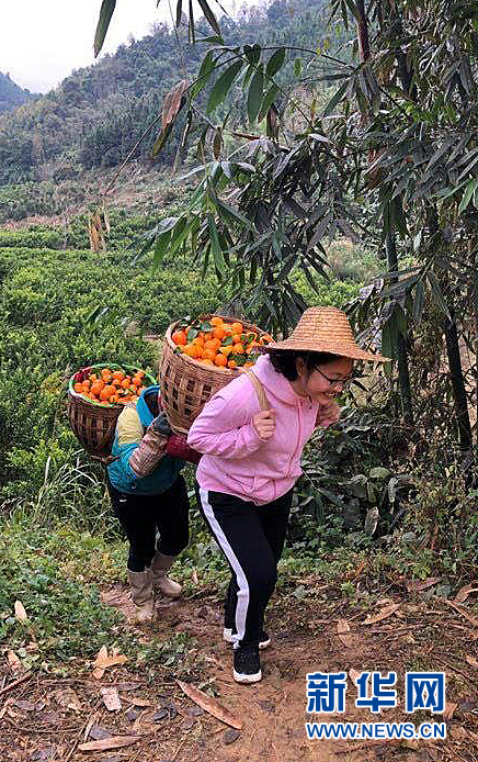 你们长眠，我们常念——新华社记者追忆扶贫英烈
