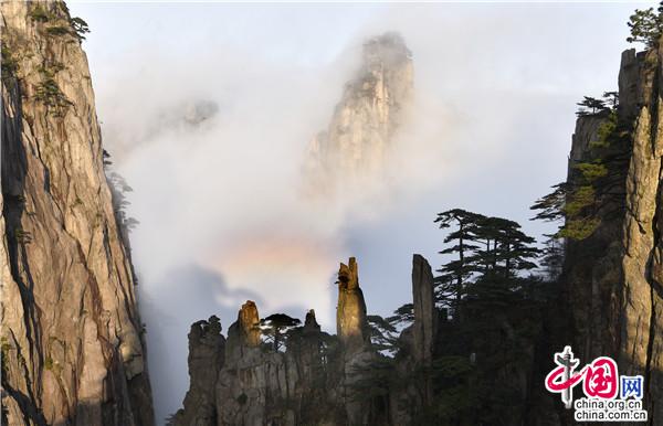 安徽黄山：神奇佛光变幻莫测 与云海相映成辉