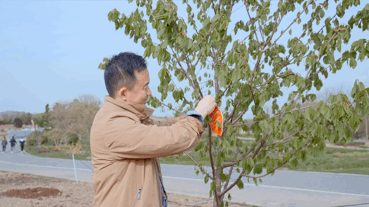 【疫后重振看湖北】去年你“沪”我看夕阳，今年“鄂”为侬奏华章