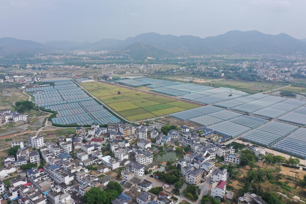在习近平总书记的引领下·红色足迹篇丨江西于都：以不渝初心走好新长征路