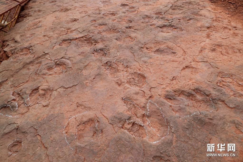 “恐龙舞池”现身福建上杭