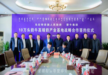 奶产业发展助力乡村振兴 蒙牛集团携手乌拉特前旗让农牧民捧上“金饭碗”