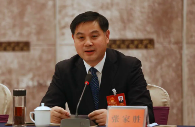 荆州市沙市区委常委,副区长,湖北省科学技术协会副主席,黄石市委常委
