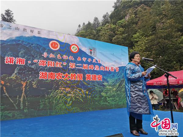 湖南新宁舜皇山野茶节：寻红色记忆 品帝子灵芽