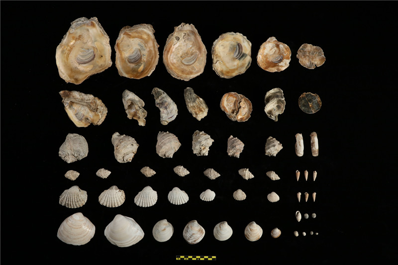 重磅！2020年度全国十大考古新发现揭晓