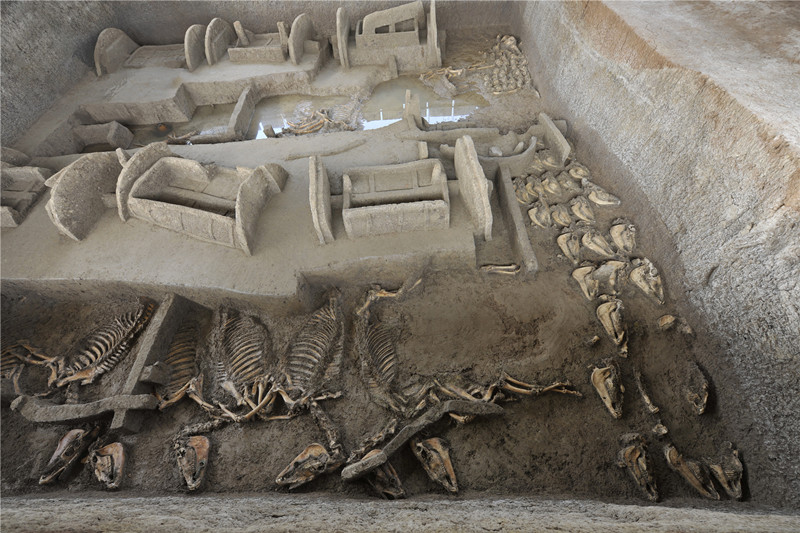 重磅！2020年度全国十大考古新发现揭晓