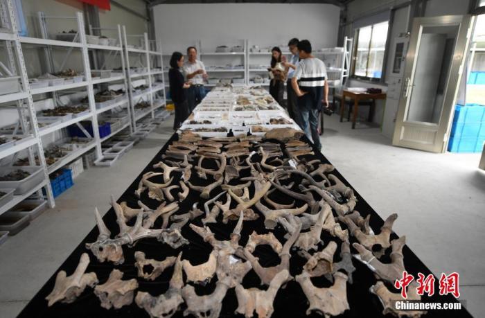 点击进入下一页