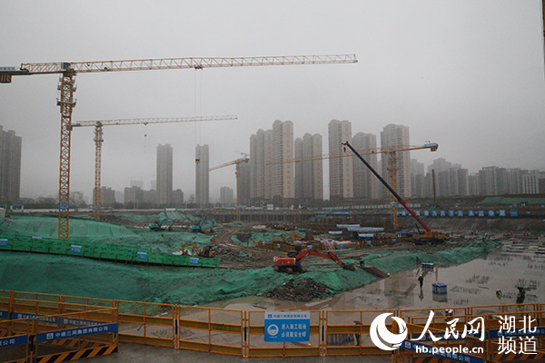 湖北：做好发展“必答题” 不负春光谋重振
