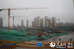 湖北：做好发展“必答题” 不负春光谋重振