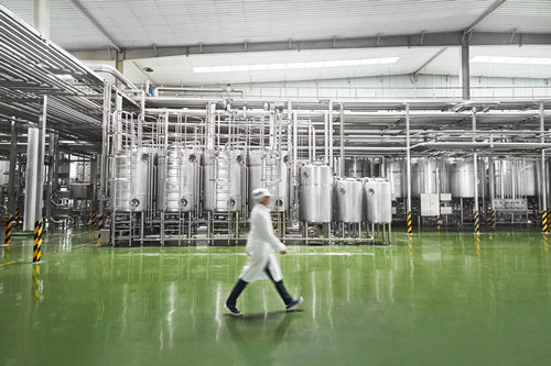 新乳业业绩双增长 三年翻番 ，一季度预计大幅超预期！