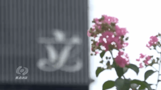 焦点访谈丨不留盲区 不留死角 每个人都要时刻绷紧国家安全这根弦