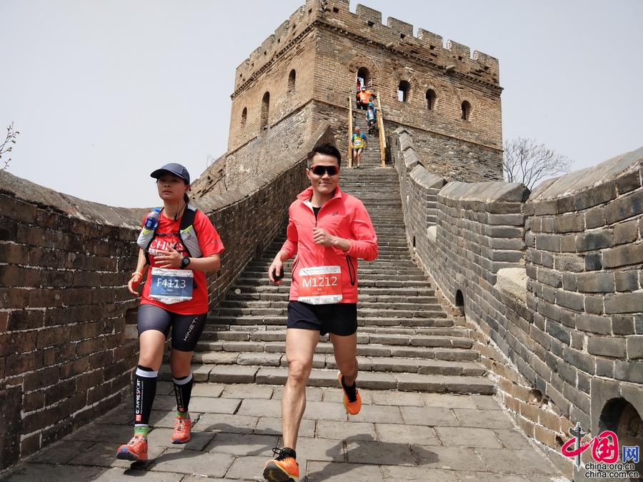 长城马拉松18日开跑 金山岭杏花美景再遇爱好者