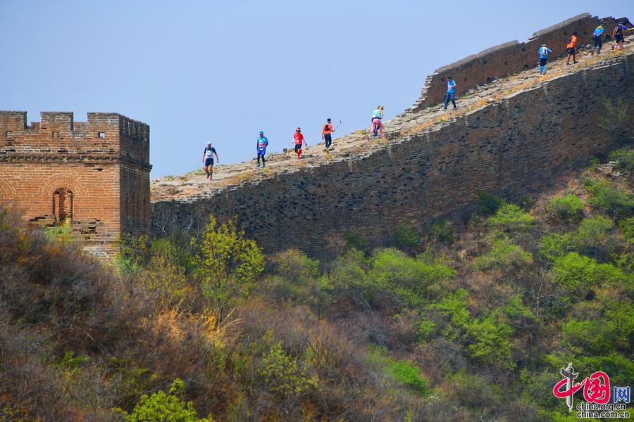长城马拉松18日开跑 金山岭杏花美景再遇爱好者