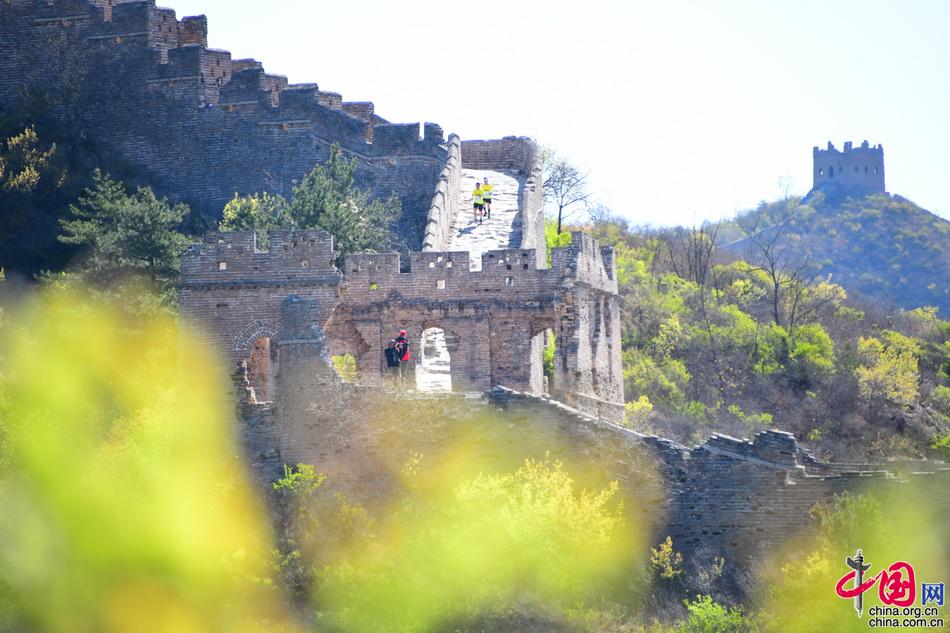 震撼发枪 金山岭长城马拉松被称世界最难(图)